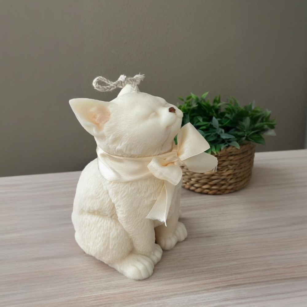 Moule en Silicone pour chat so - Candle Making Supplies For Beginners avis et prix